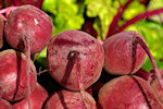 beets in green powder superdrink