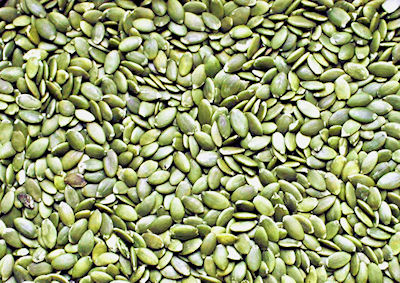 Pumpkin Seed